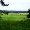 Tour 6: Naturpark Usedom